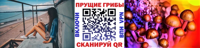 Купить закладки  Богородск  Галлюциногенные грибы мицелий 